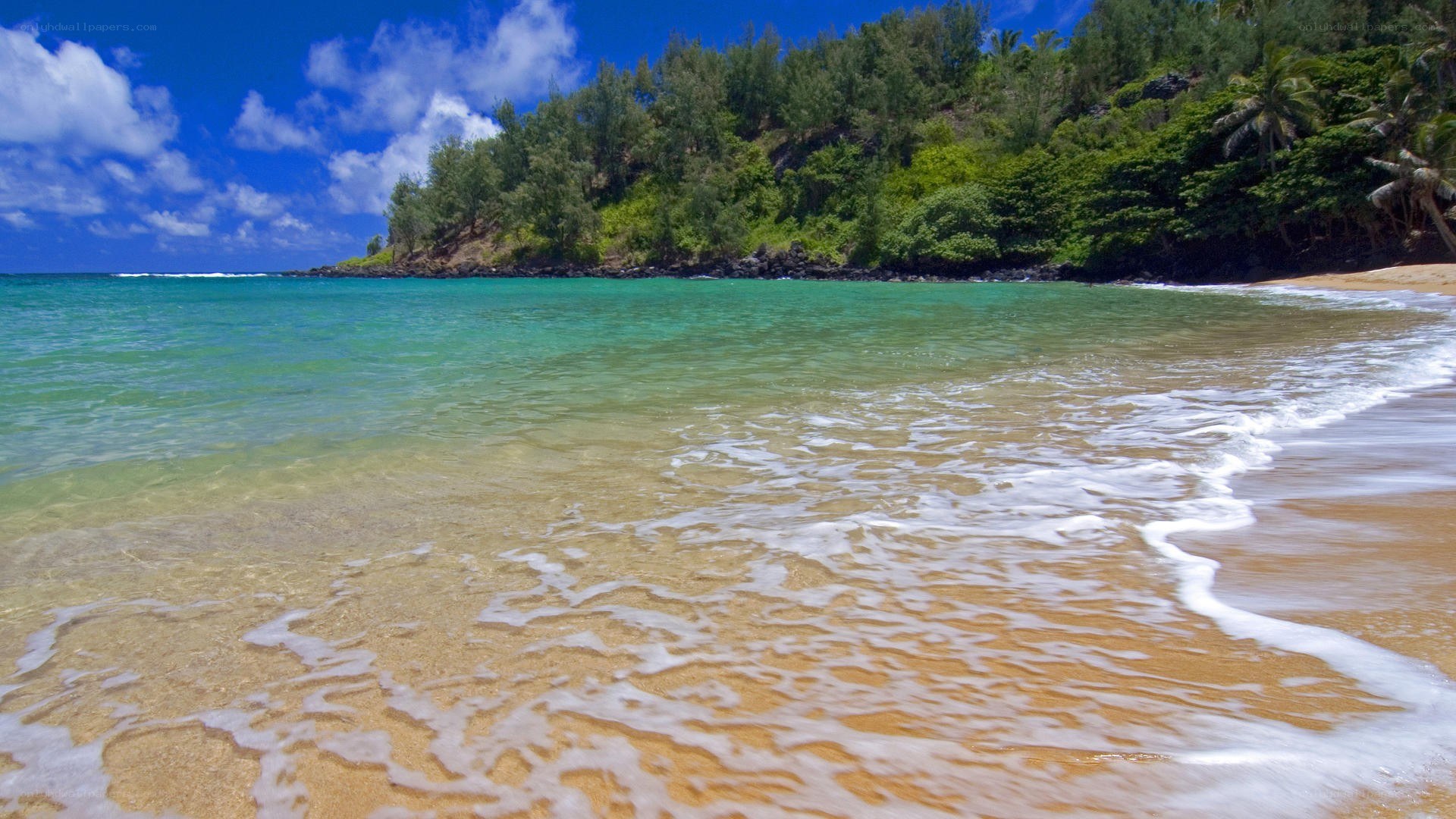 tropical beach with clear water