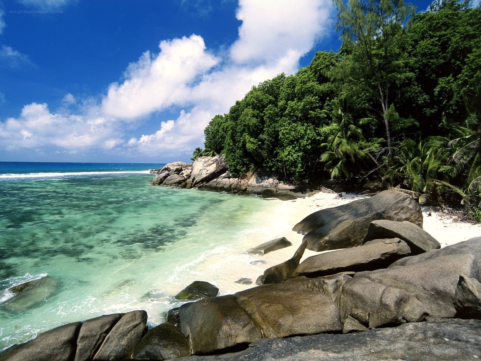 tropical beach with clear water