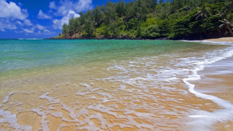 tropical beach with clear water