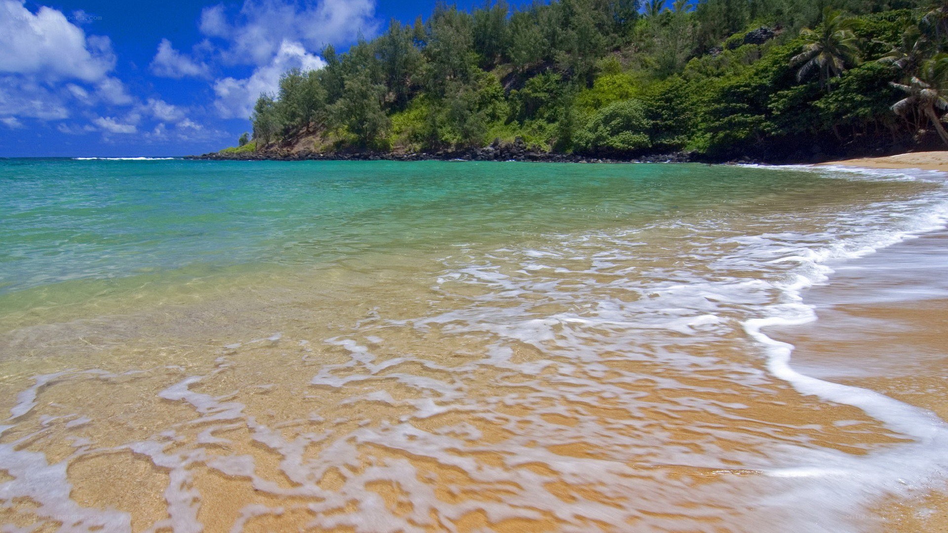 tropical beach with clear water