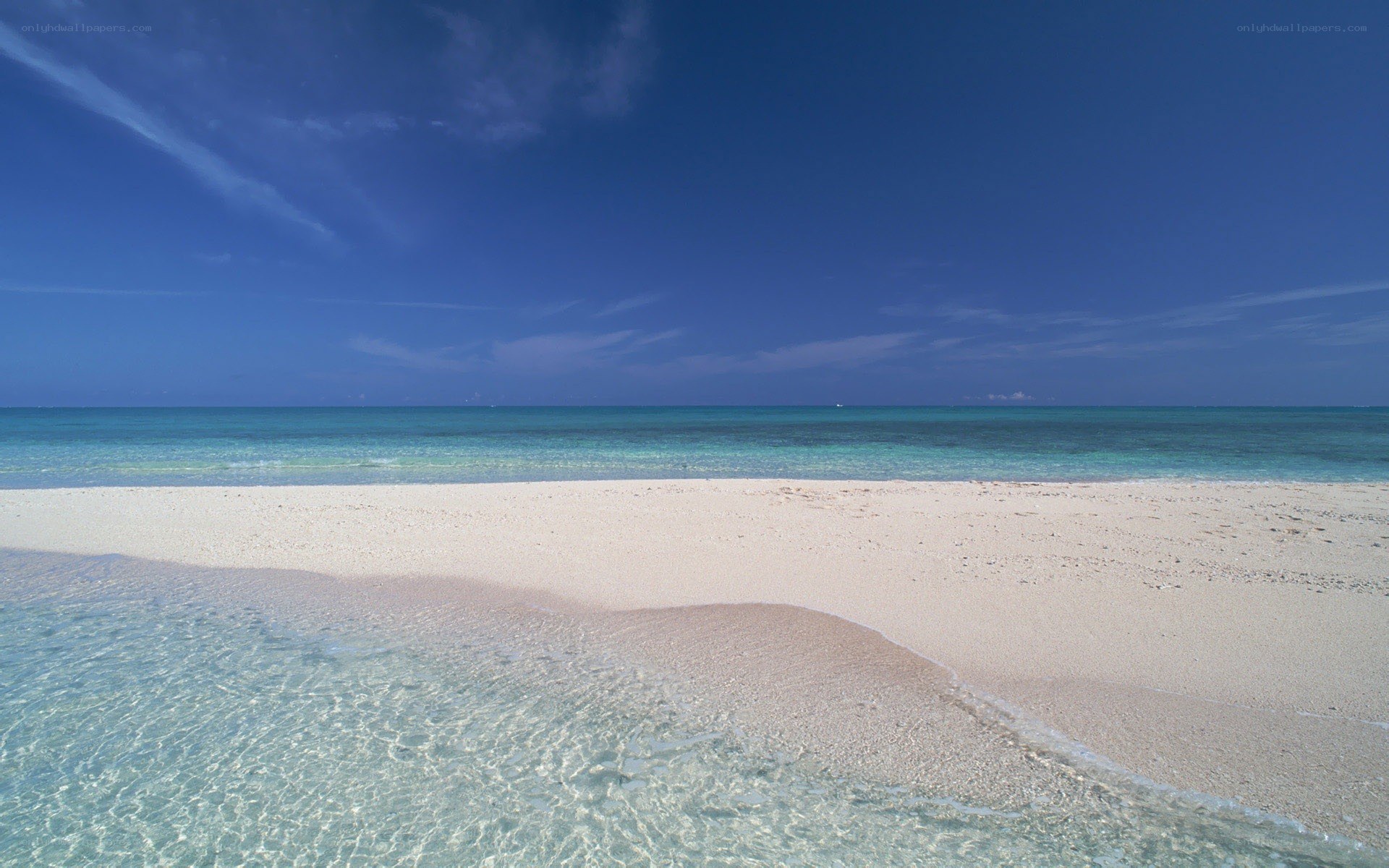 tropical beach with clear water