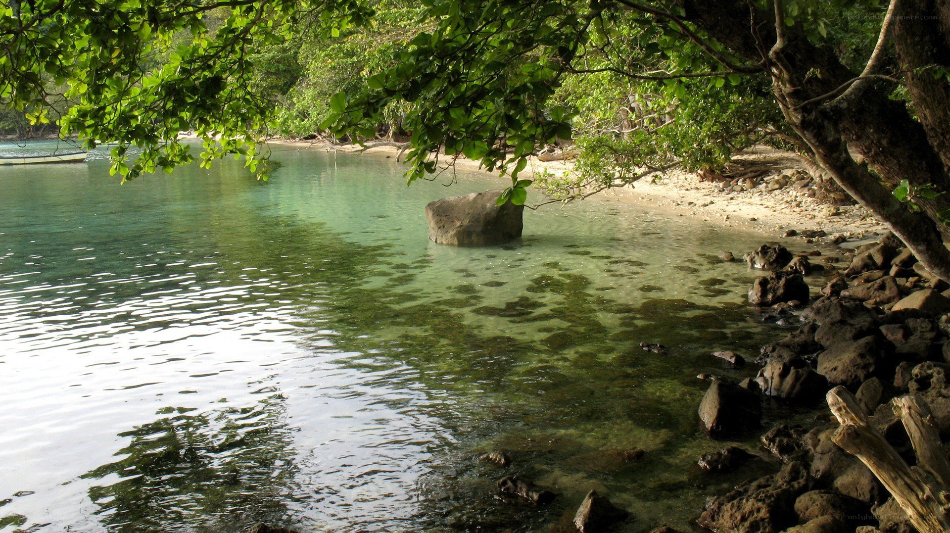 tropical beach with clear water