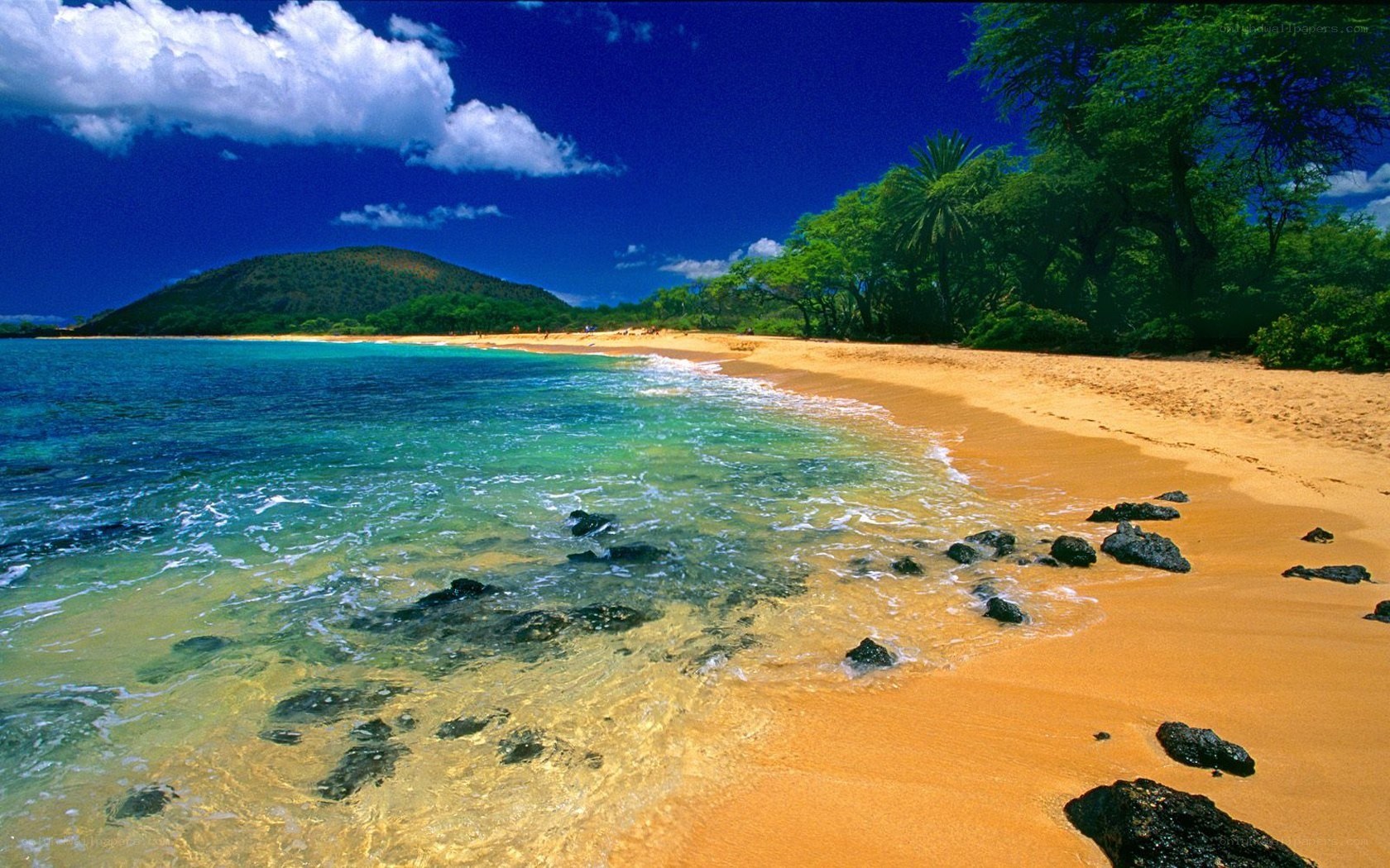tropical beach with clear water