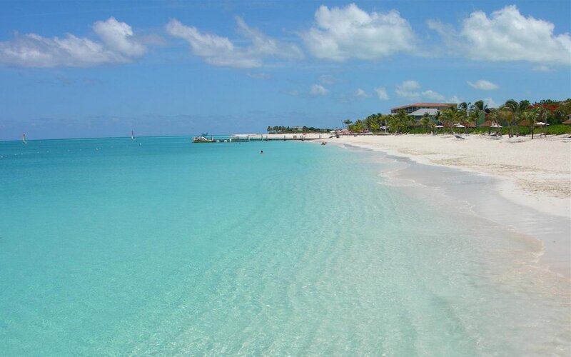 Tropical Beach with Clear Water — Blue, Serene, Afternoon, Photograph, Palm Trees