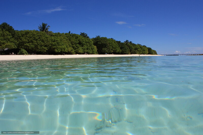 Tropical Beach with Clear Water — Blue, Serene, Afternoon, Photograph, Sand, Trees, Palm Tree