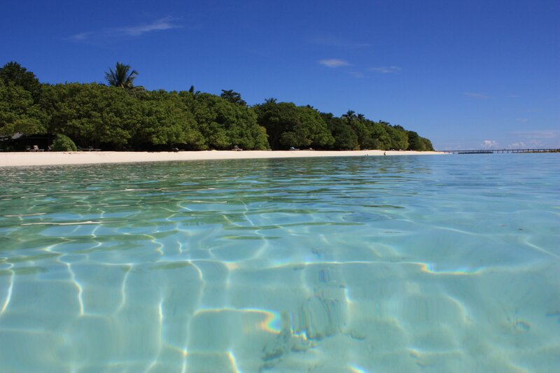 Tropical Beach with Clear Water — Blue, Serene, Afternoon, Photograph, Sand, Trees