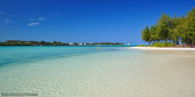 Tropical Beach with Clear Water — Blue, Serene, Afternoon, Photograph, Trees