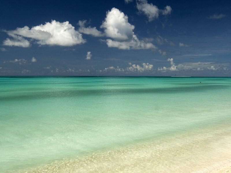 Tropical Beach with Clear Water — Blue, Serene