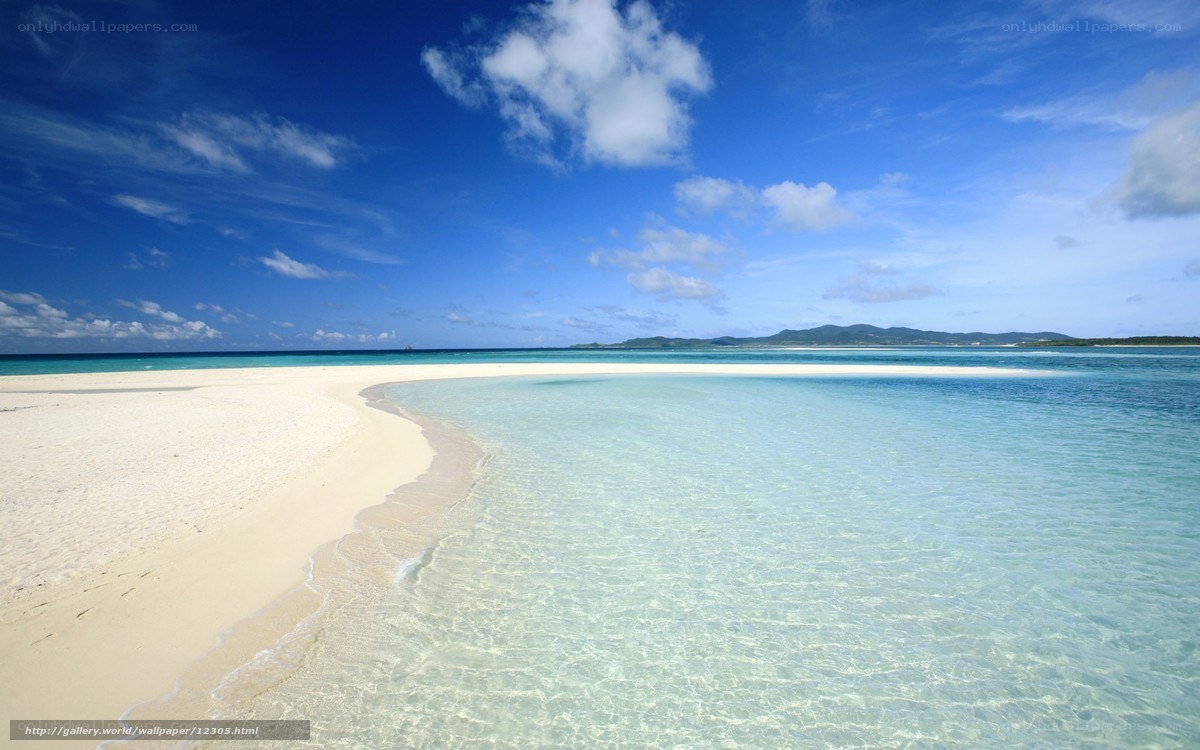 tropical beach with clear water