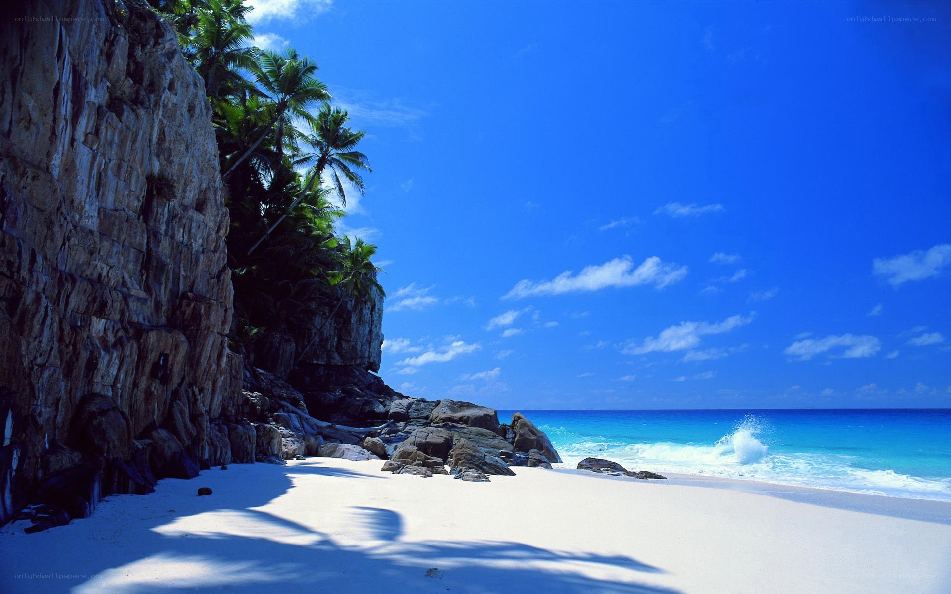 tropical beach with cliffs