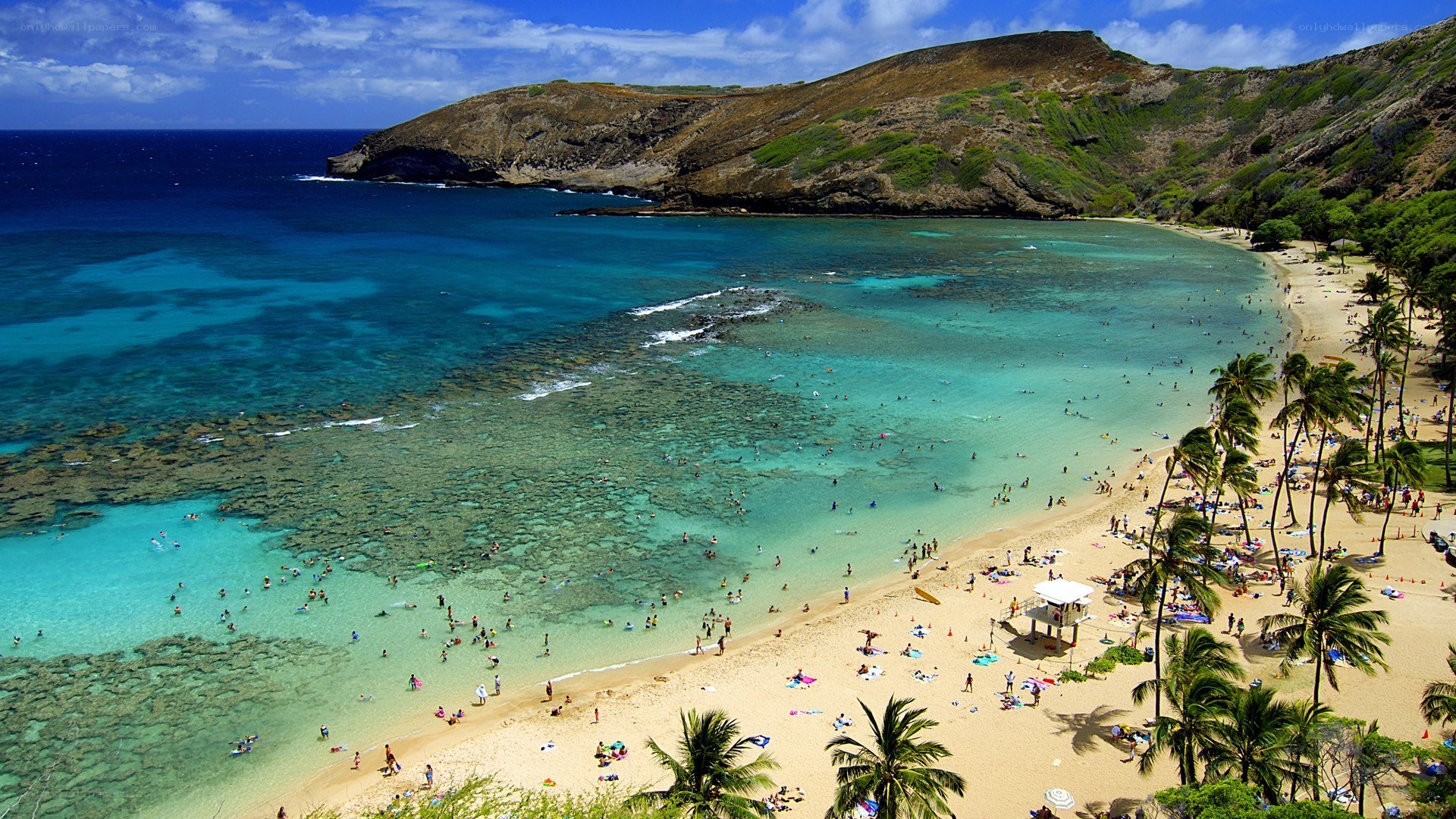 tropical beach with coral reef