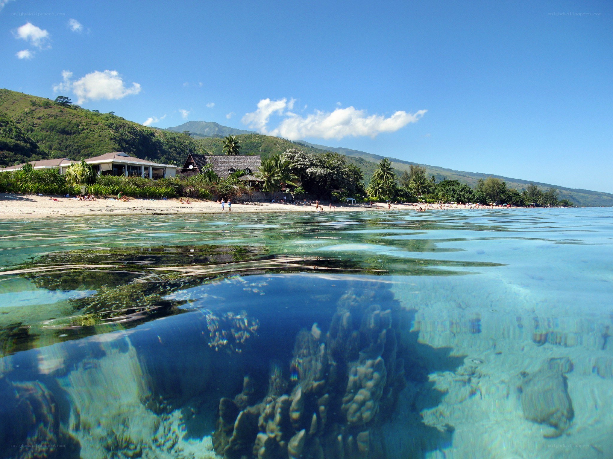 tropical beach with coral reef