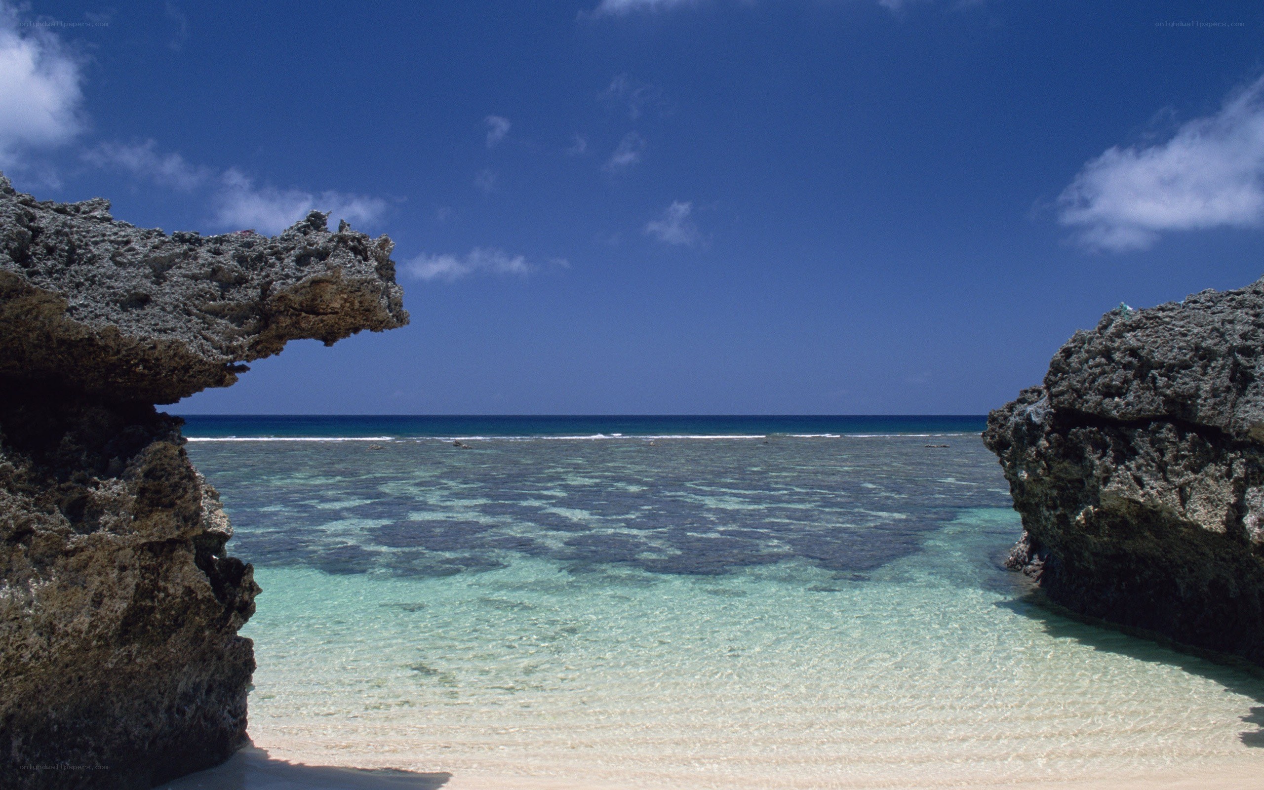 tropical beach with coral reef