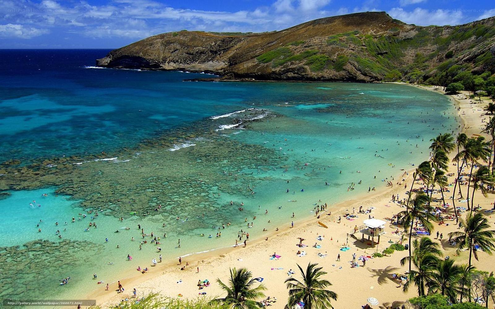 tropical beach with coral reef