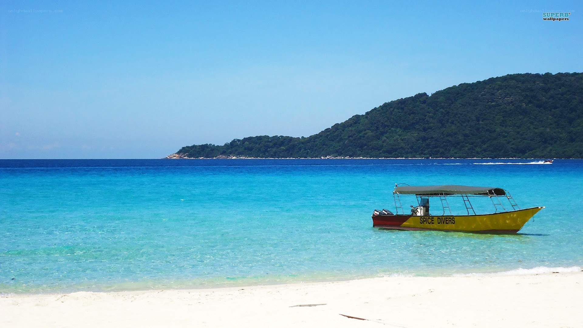 tropical beach with diving boat