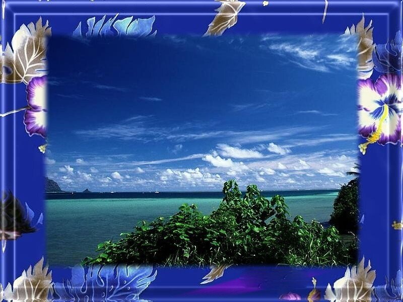 tropical beach with floral frame