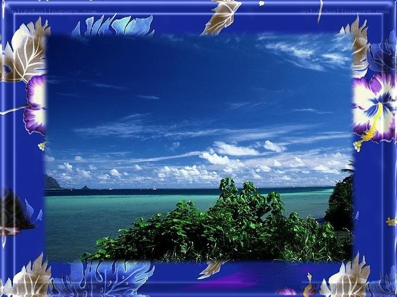 tropical beach with floral frame