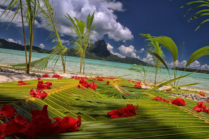 Tropical Beach with Flowers — Green