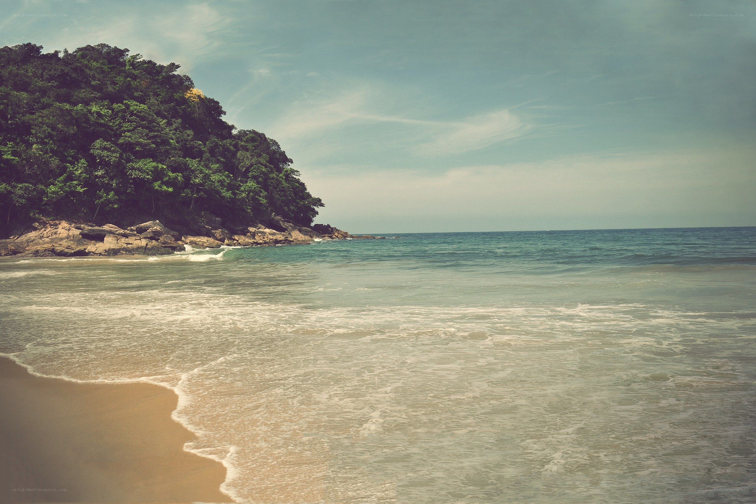 tropical beach with forested cliff