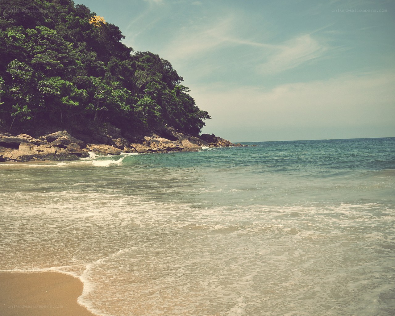 tropical beach with forested cliff