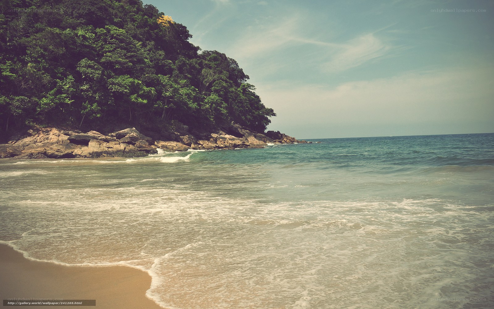 tropical beach with forested cliff