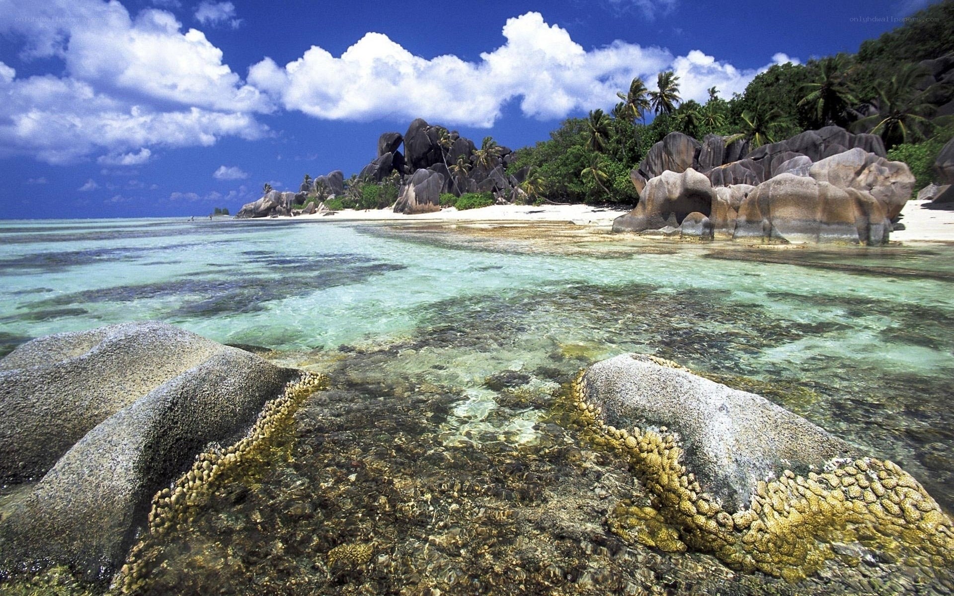 tropical beach with giant rocks