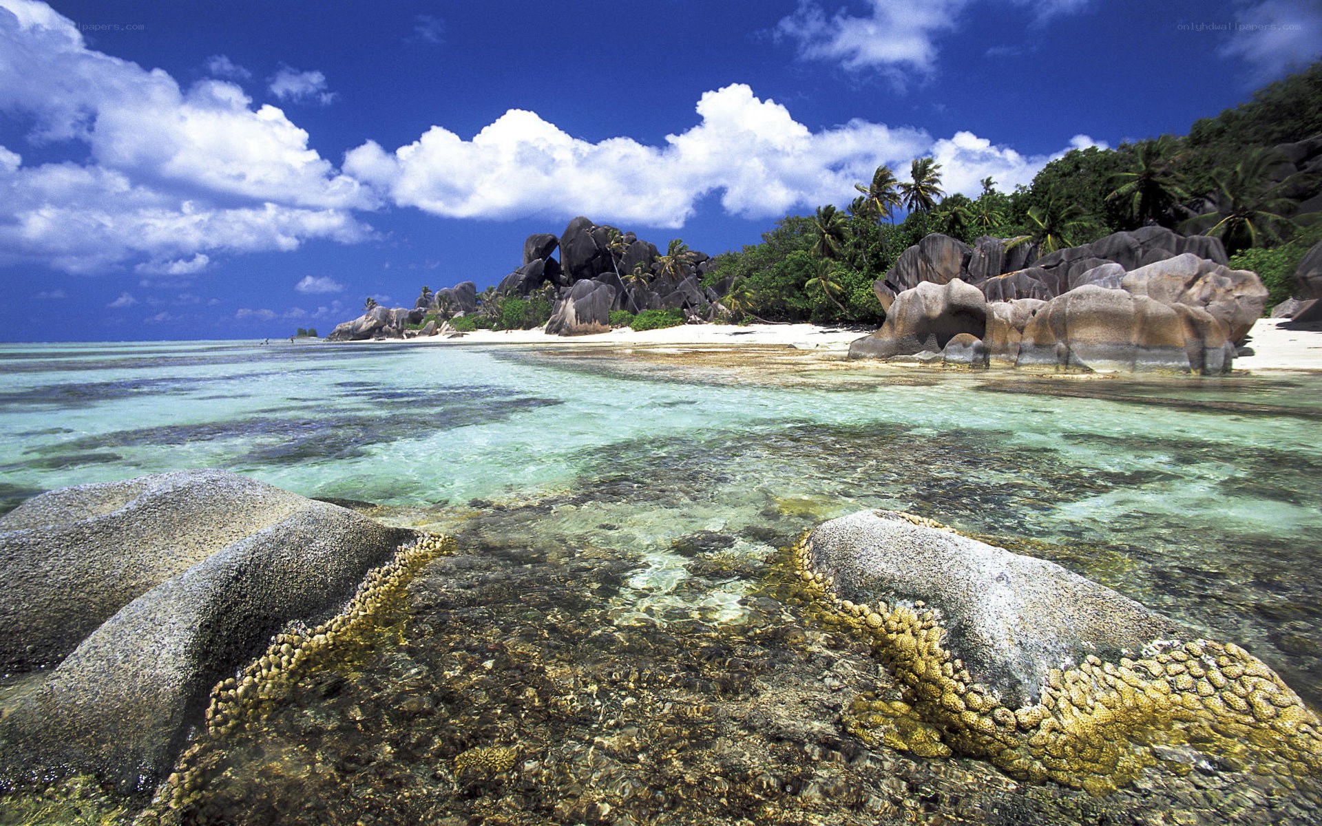 tropical beach with granite rocks