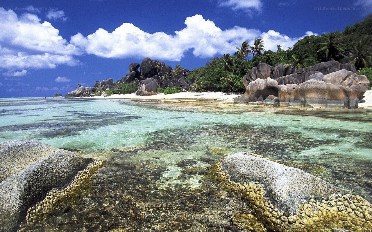 tropical beach with granite rocks