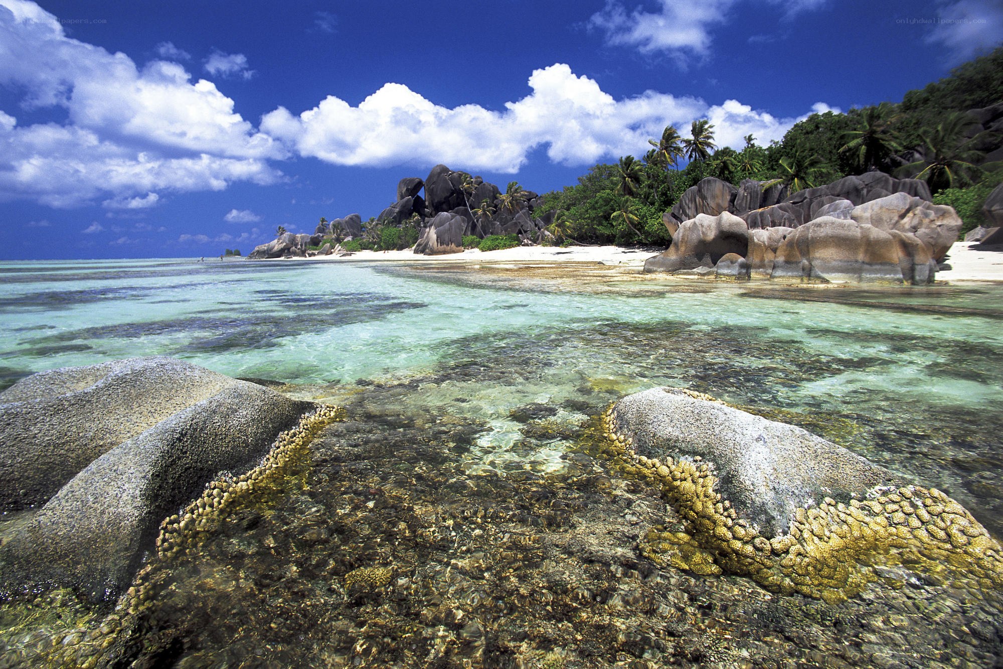 tropical beach with granite rocks