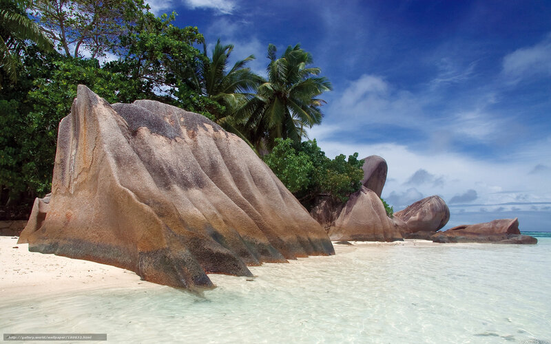 Tropical Beach with Granite Rocks — Blue, Serene, Afternoon, Photograph, Palm Trees
