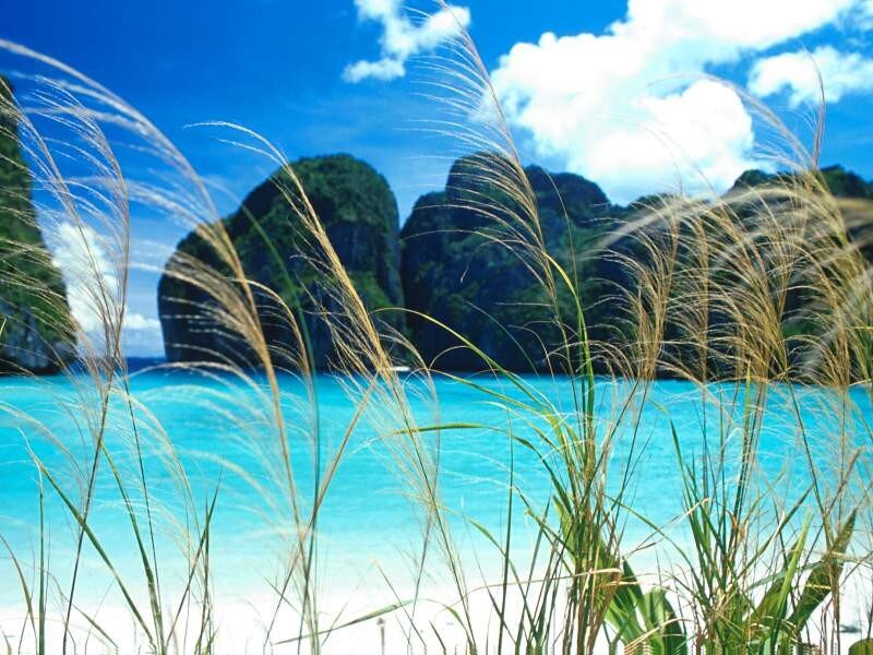 tropical beach with grass and cliffs