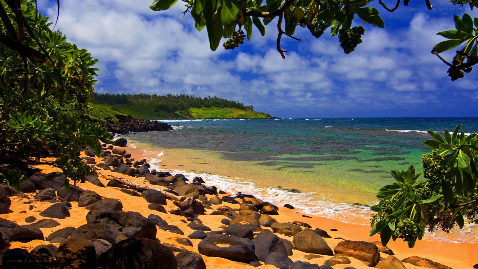 tropical beach with green foliage