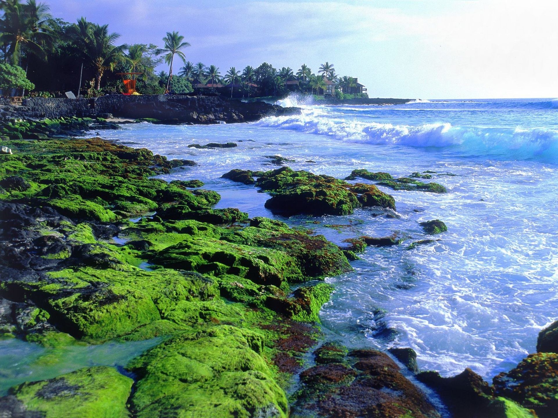 tropical beach with green rocks