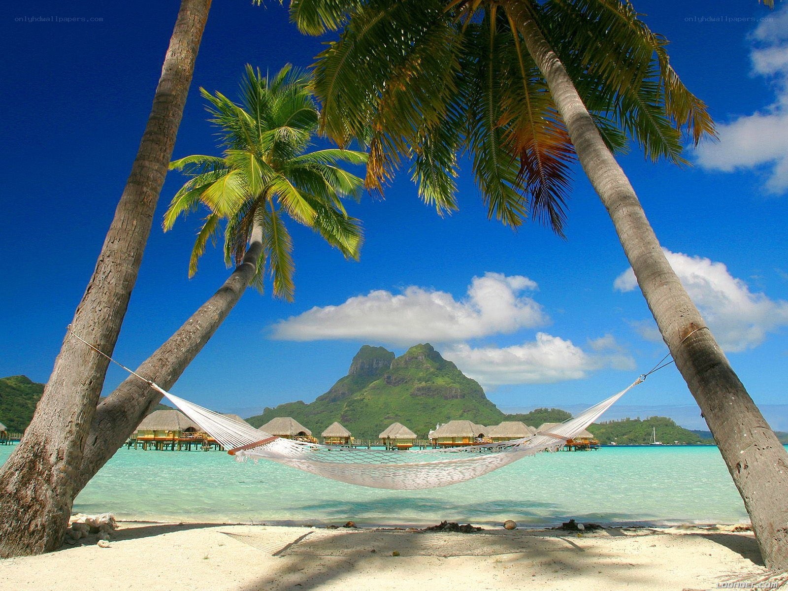 Tropical beach with hammock