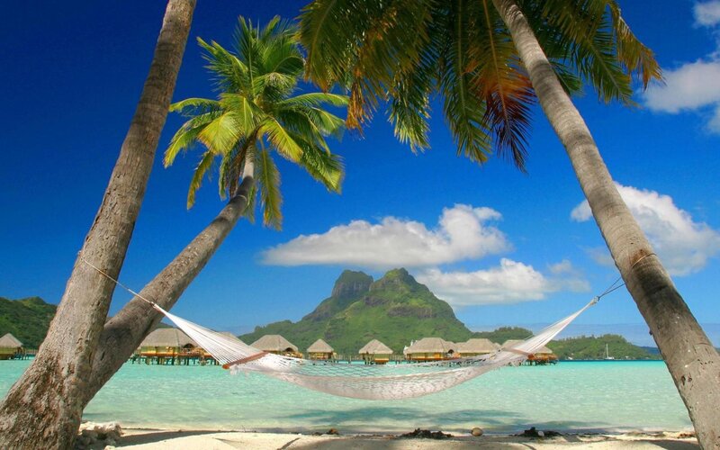Tropical beach with hammock