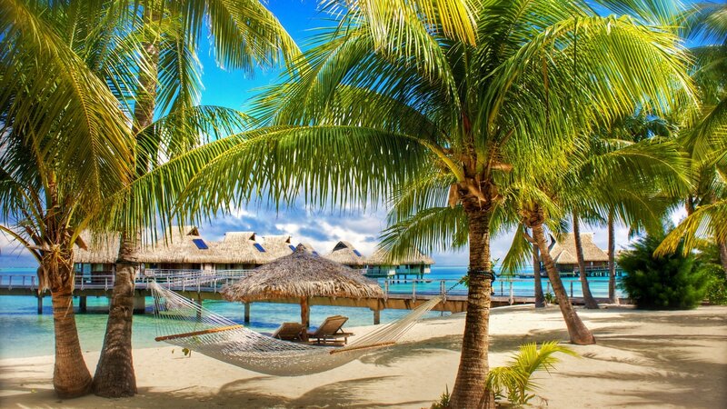 Tropical beach with hammock