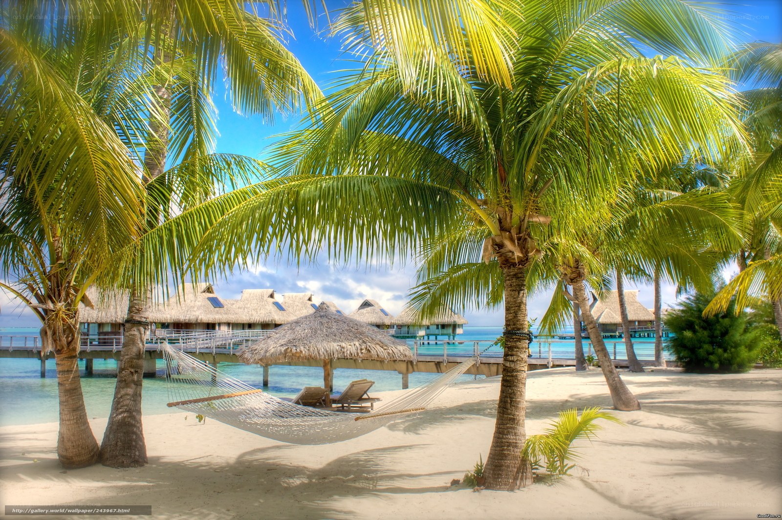 Tropical beach with hammock and bungalows