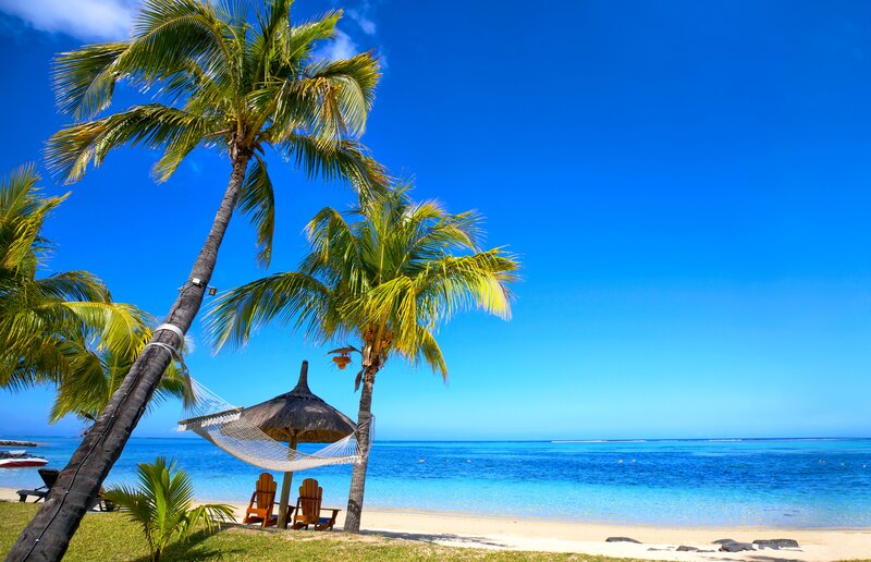 Tropical Beach with Hammock — Blue, Serene