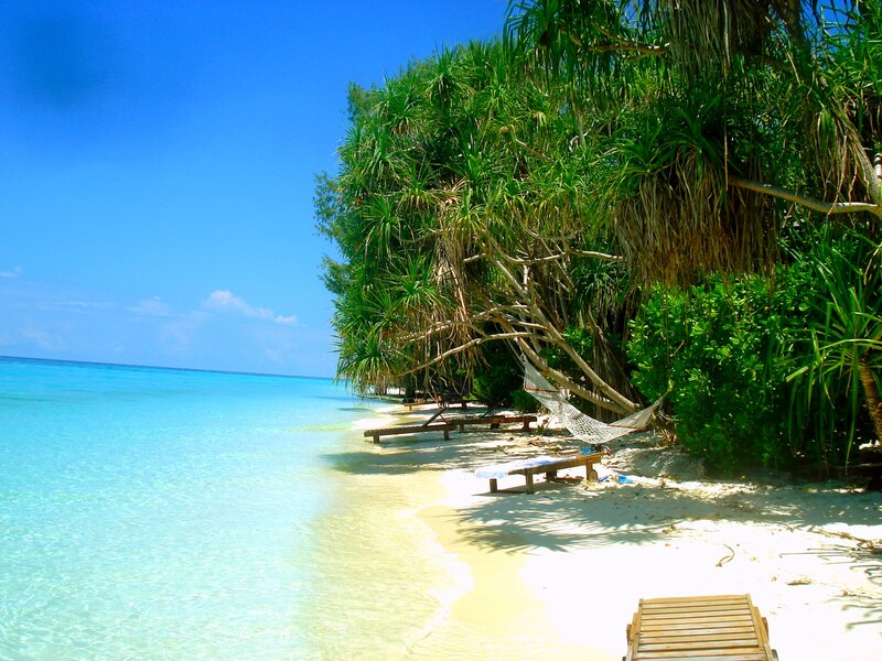 Tropical Beach with Hammock — Blue