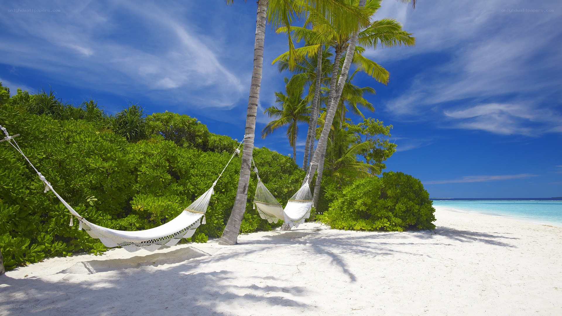 Tropical beach with hammocks