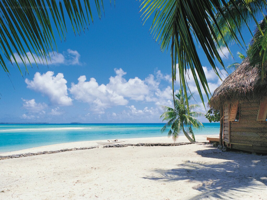 tropical beach with hut