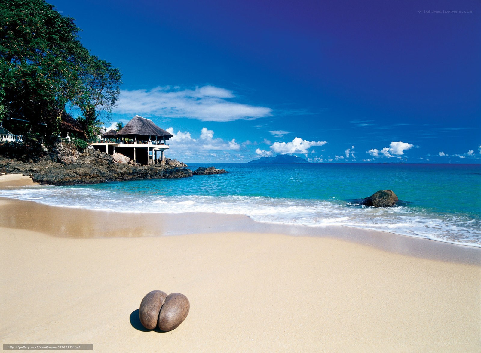 tropical beach with hut