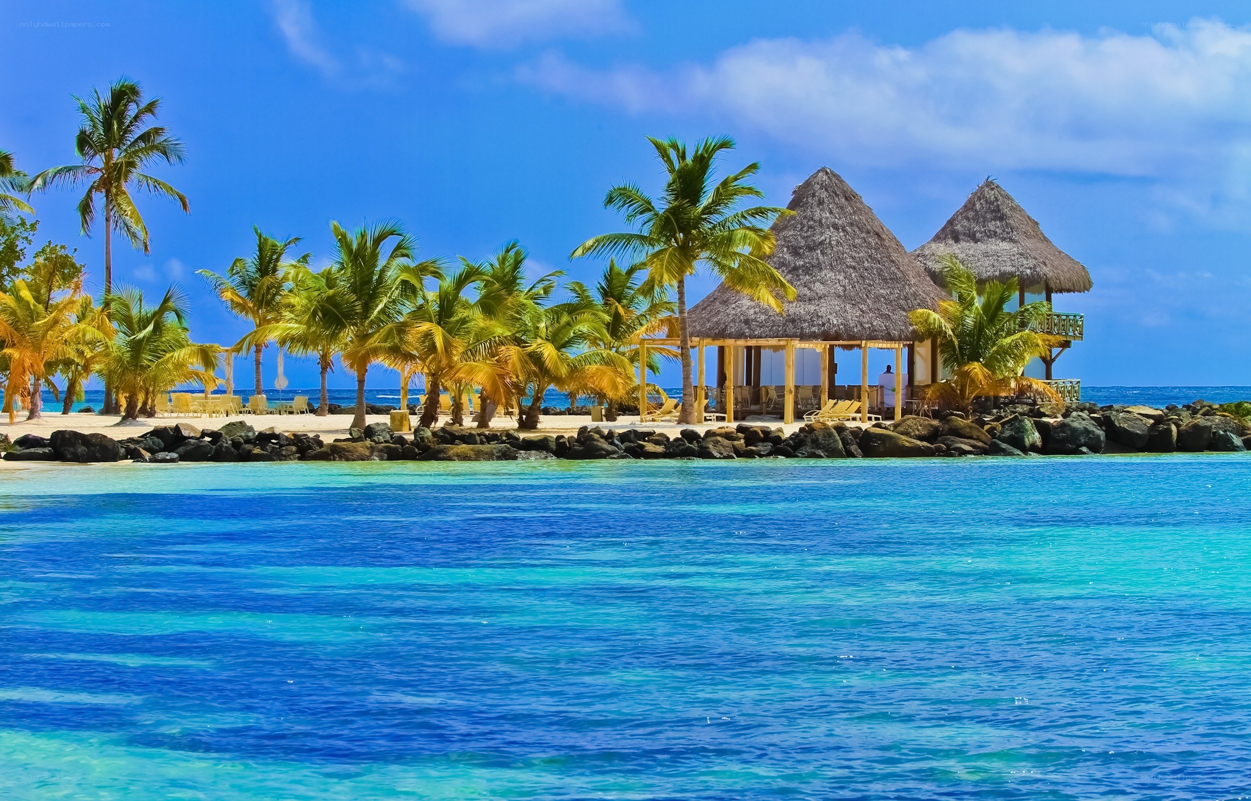 Tropical beach with huts