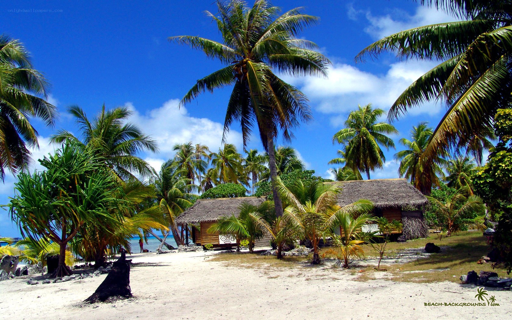 tropical beach with huts