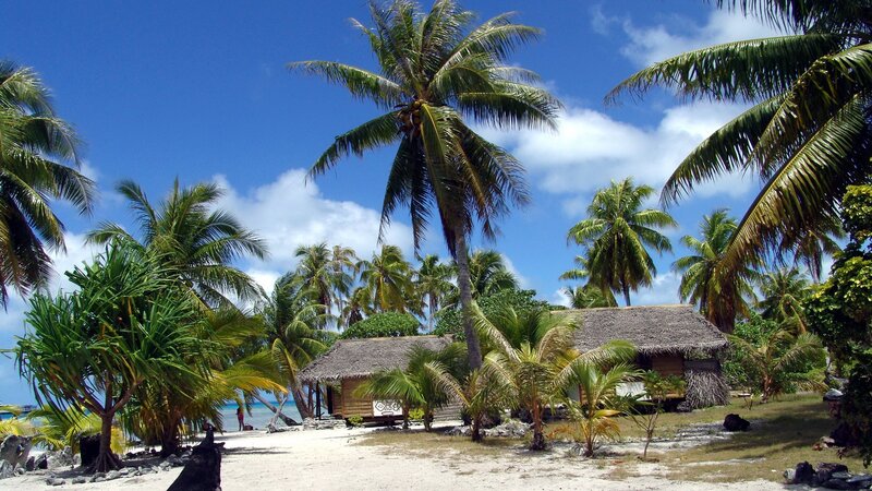 Tropical beach with huts and palm trees