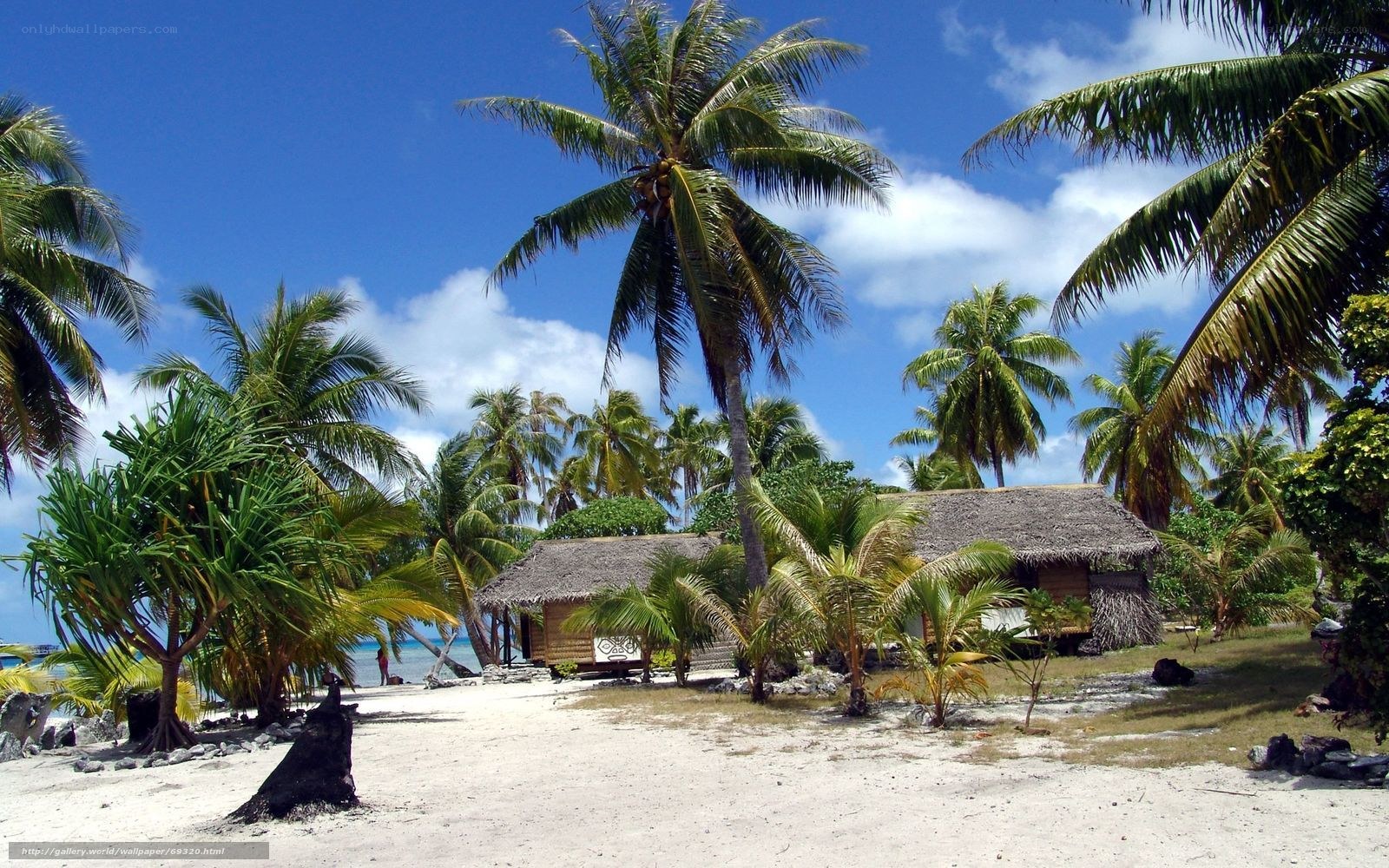 Tropical beach with huts and palm trees