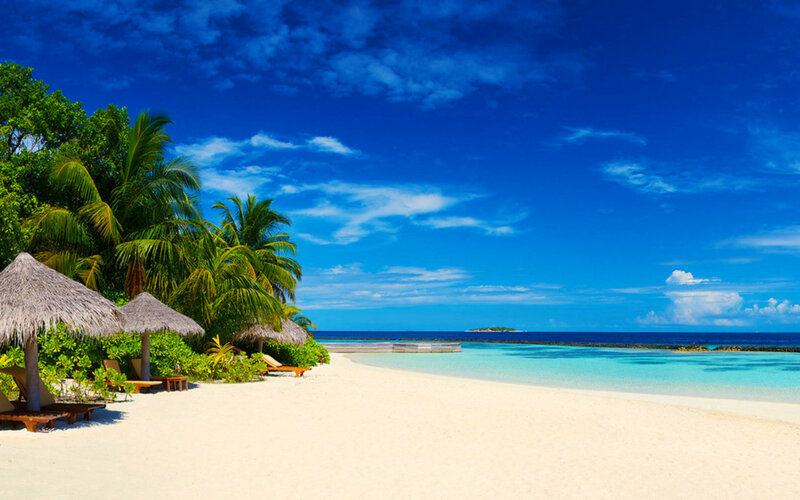 Tropical Beach with Huts — Blue, Serene, Afternoon, Photograph, Palm Trees, Thatched Huts, Ocean