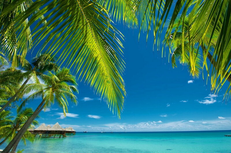 Tropical Beach with Huts — Blue, Serene