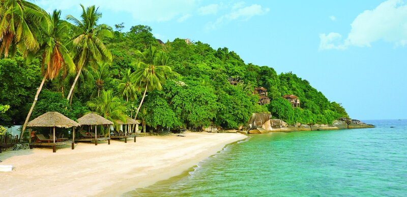 Tropical Beach with Huts — Green