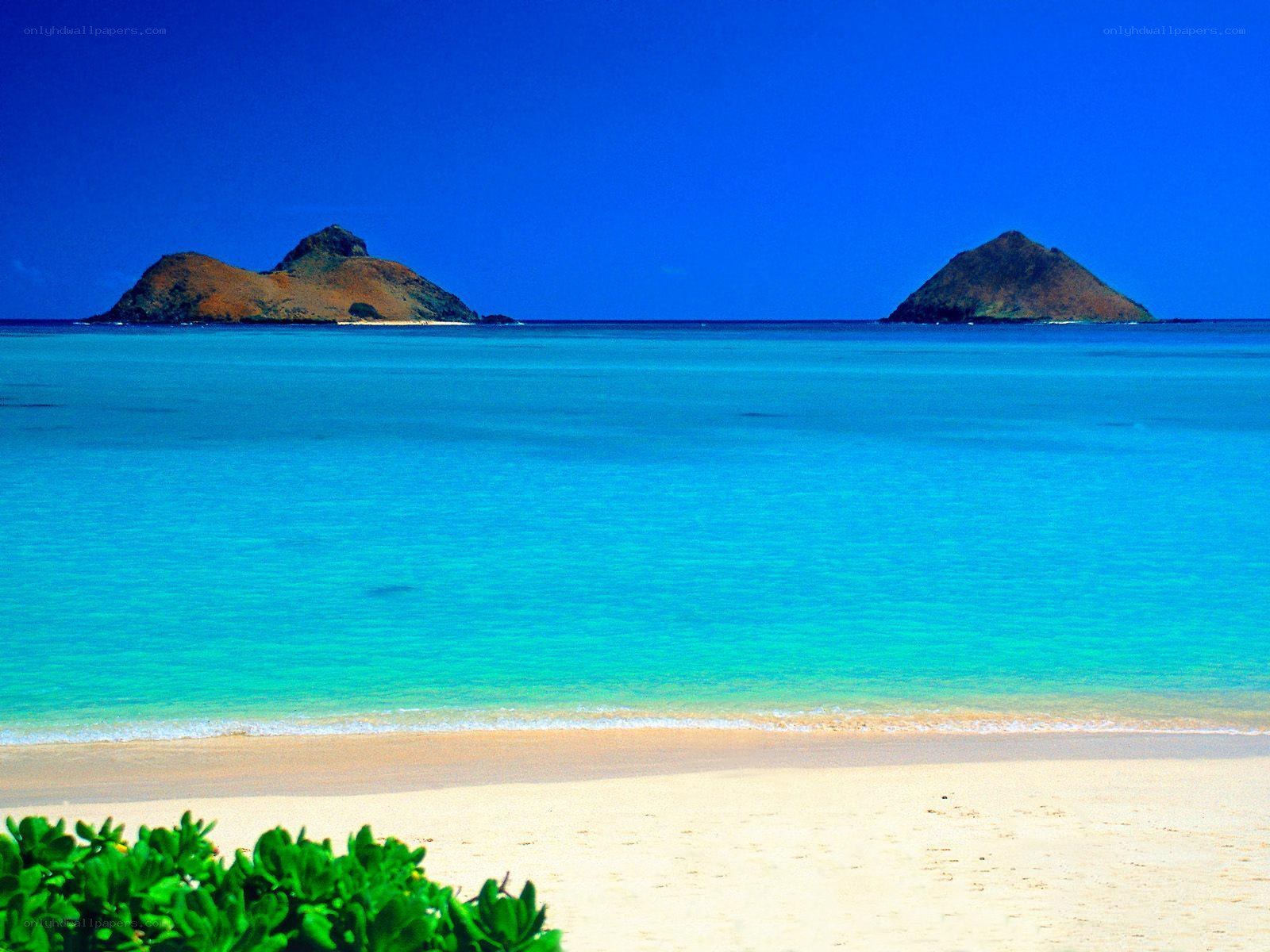 tropical beach with islands